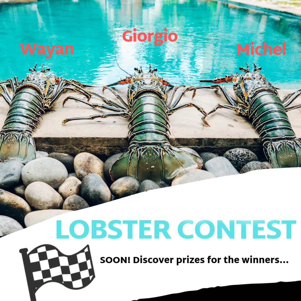 Nyaman-villas-lobster-contest