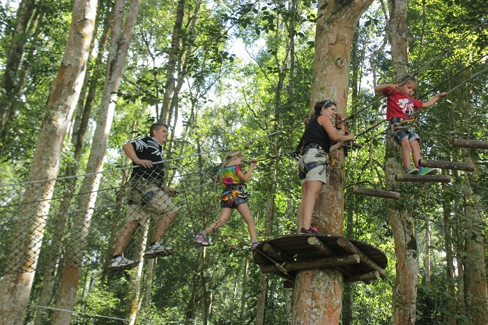 Nyaman Group Indonesia-Exclusive member privilege-Bali Tree Top