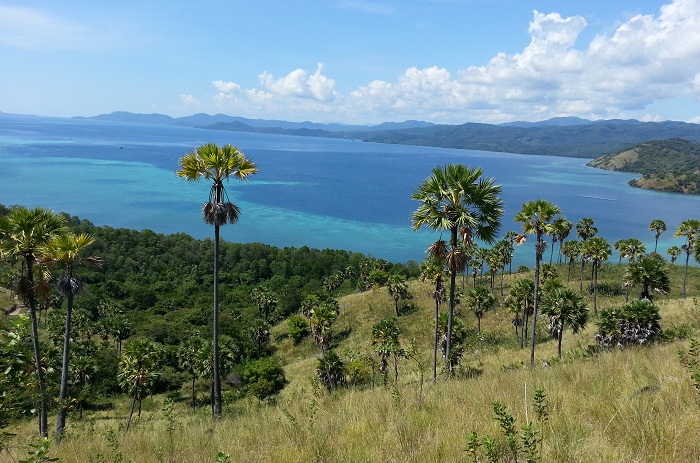 Nyaman Group Indonesia-Real Estate Flores-land with sea view on Flores island