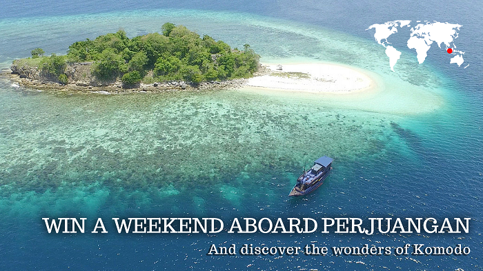 Nyaman Group - dive cruise in Komodo National Park - contest Perjuangan 2015